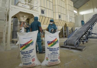 Panaderos paran por falta de harina y advierten alza en precio del pan