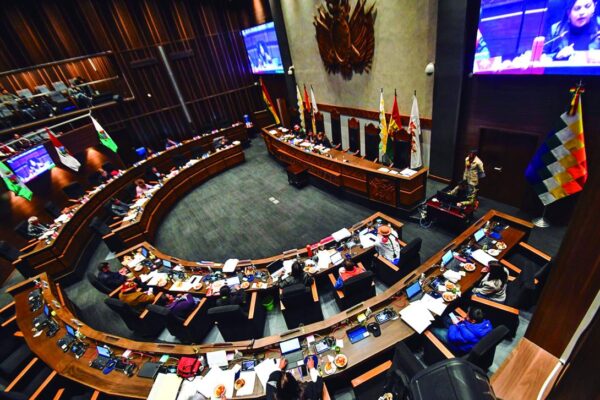 Nuevo Senado en Bolivia combina experiencia política y renovación con rostros emergentes