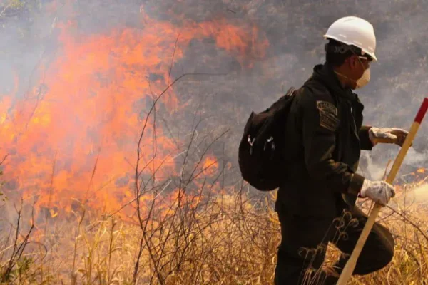 Santa Cruz enfrenta cuatro incendios activos y ministro alerta: “Entre 80 y 90% son fuegos provocados”