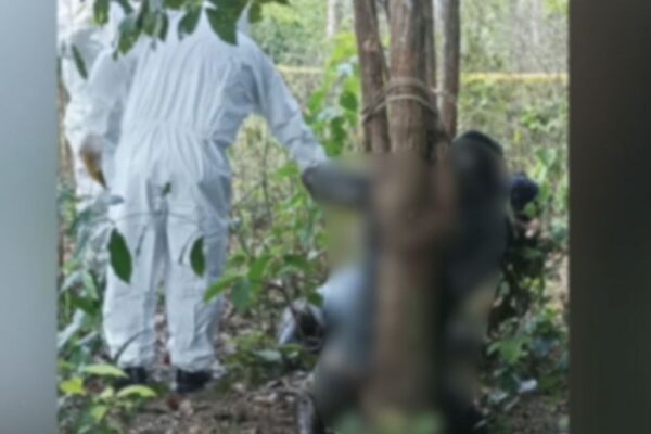 Revelan autopsia de cuerpos hallados atados y con bolsas en la cabeza en Pando
