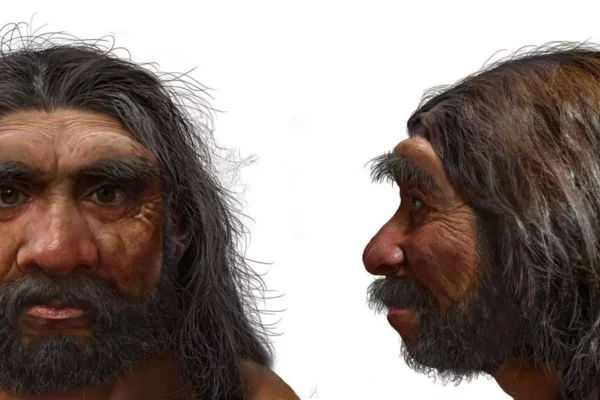 ¿Error en los Libros? Cráneo de China Cambia la Historia de la Evolución Humana