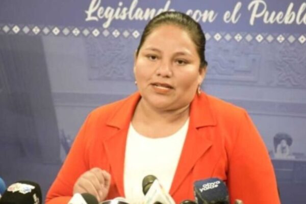 Abogado Acusa a Diputada MAS Deysi Choque de Liderar Avasallamientos en Montero